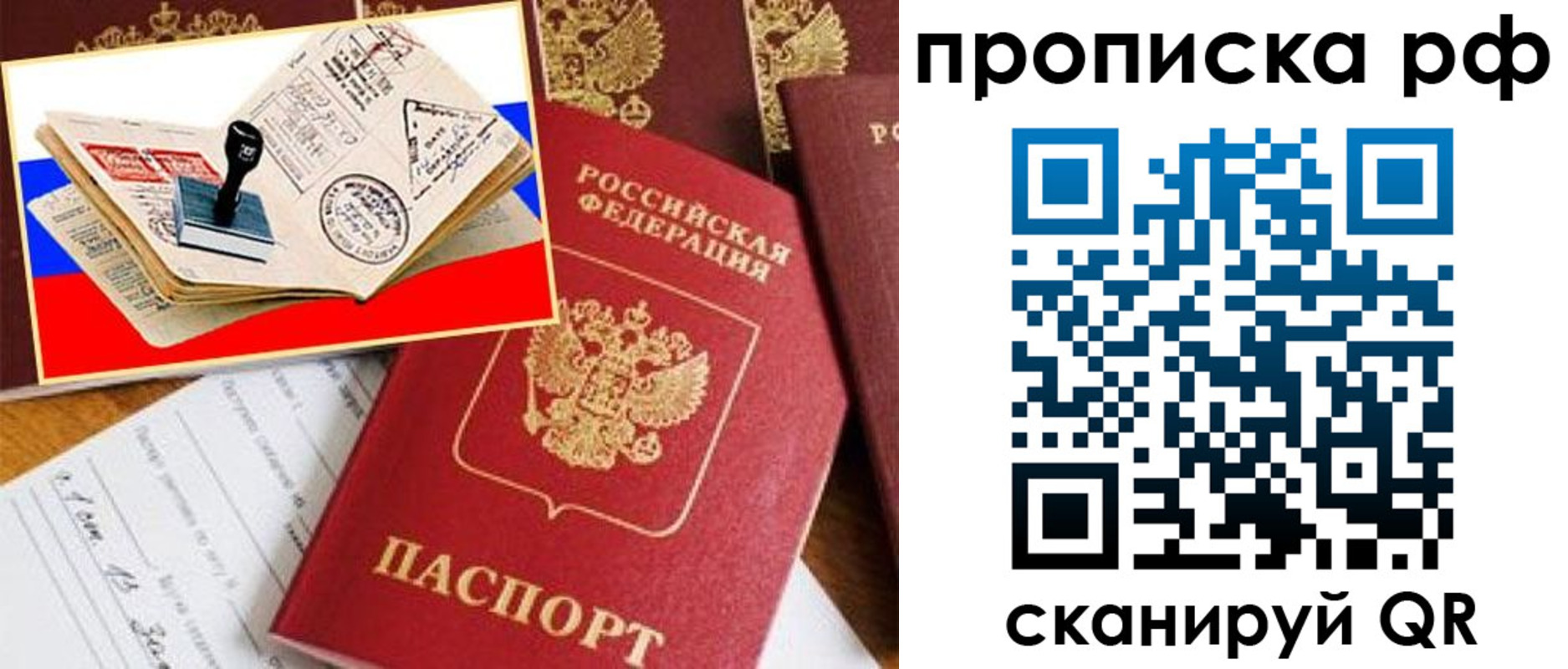 прописка иностранных граждан в Фрязино
